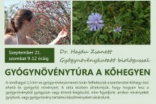 Gyógynövénytúra a Kőhegyen